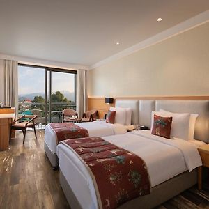 Double or Twin Room Mountain View